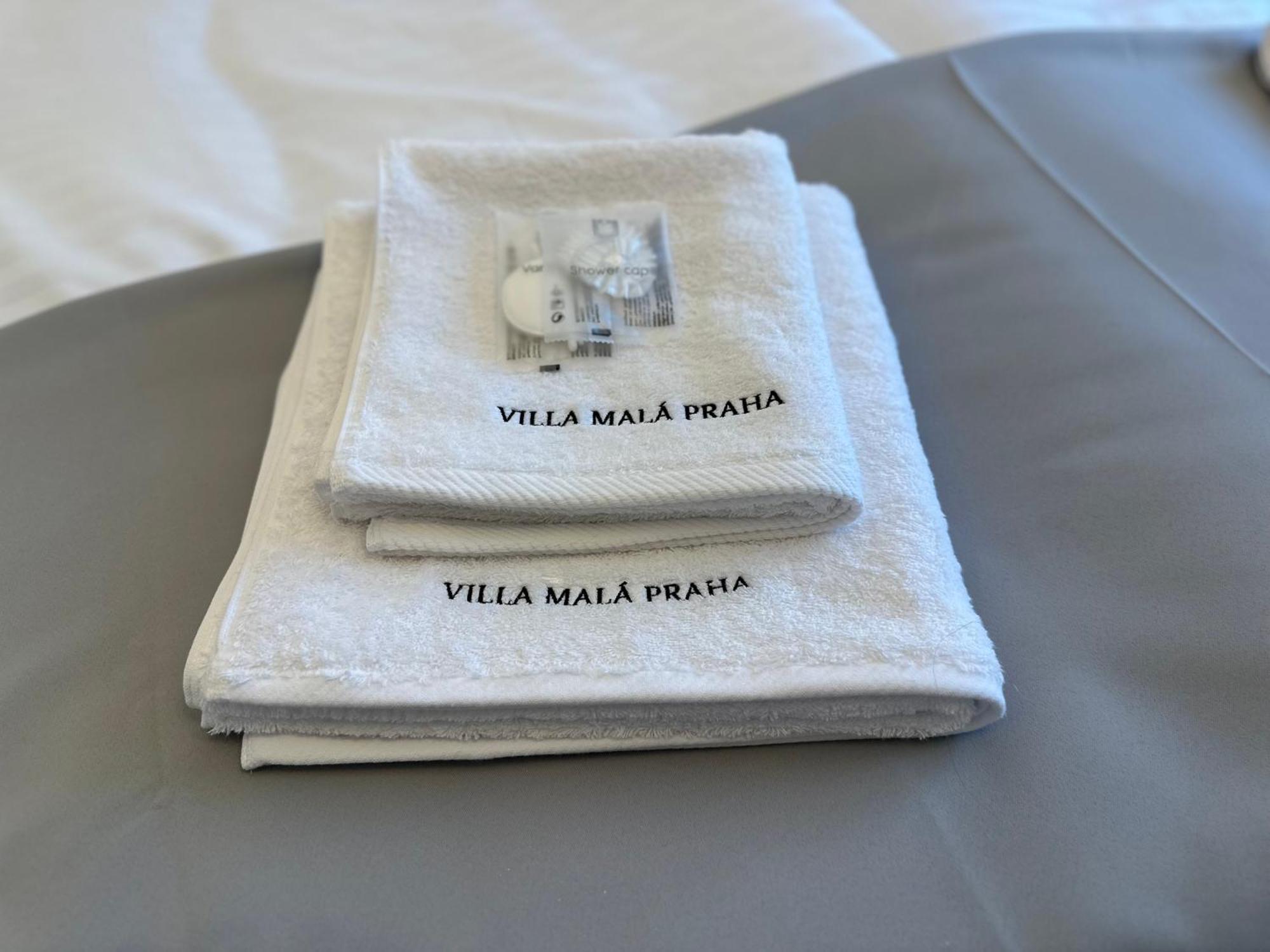 Villa Mala Praha Experience In The Center Of Жилина Екстериор снимка